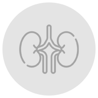 kidneys2